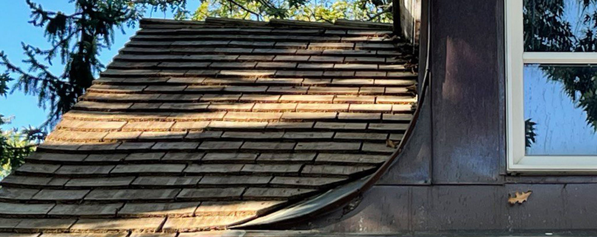 Roof Cleaning in Hockley TX